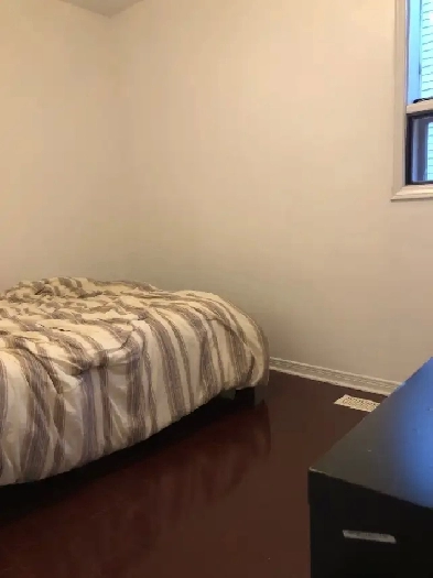 Bathurst Dundas one bedroom Available immediately or Mar 1st