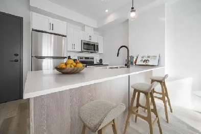 Stunning 1 Bedroom Apartment! Move In Ready! Image# 3