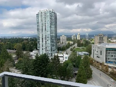 One Bedroom suite in Central Surrey Image# 1