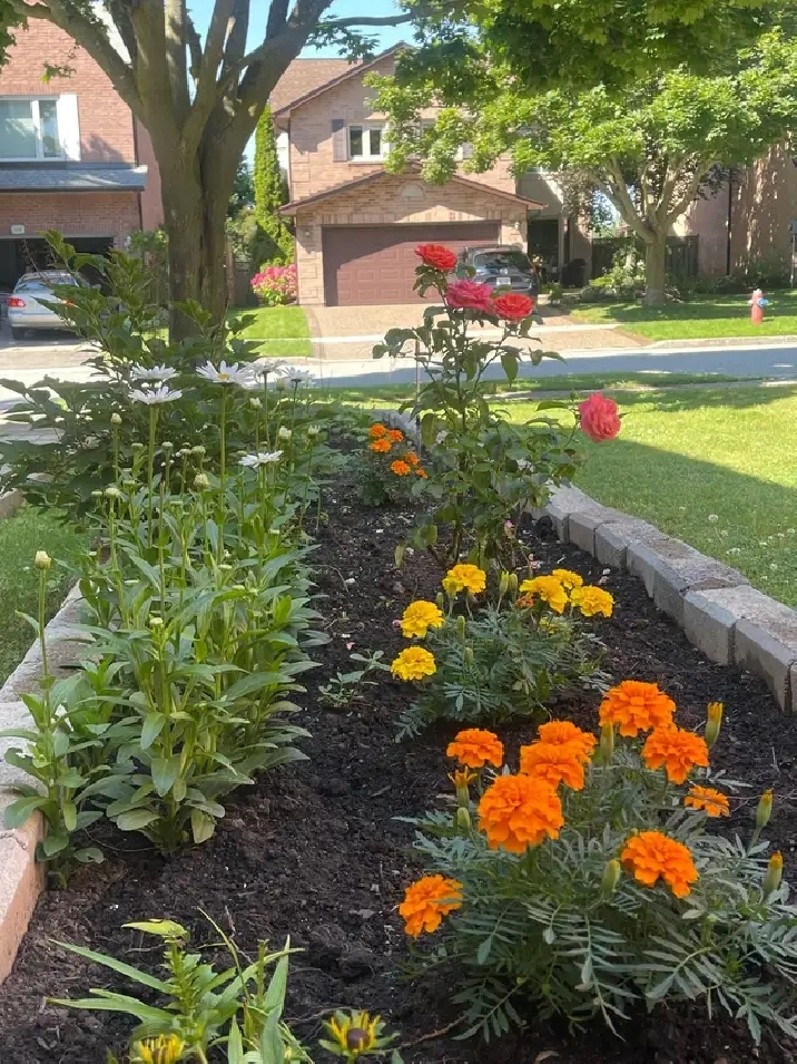 Room for rent Oakville near Sheridan college