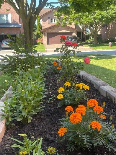 Room for rent Oakville near Sheridan college