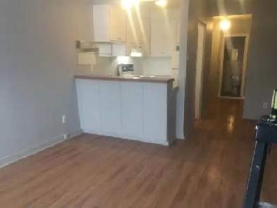 Metro Radisson 1 1/2 a louer Image# 1