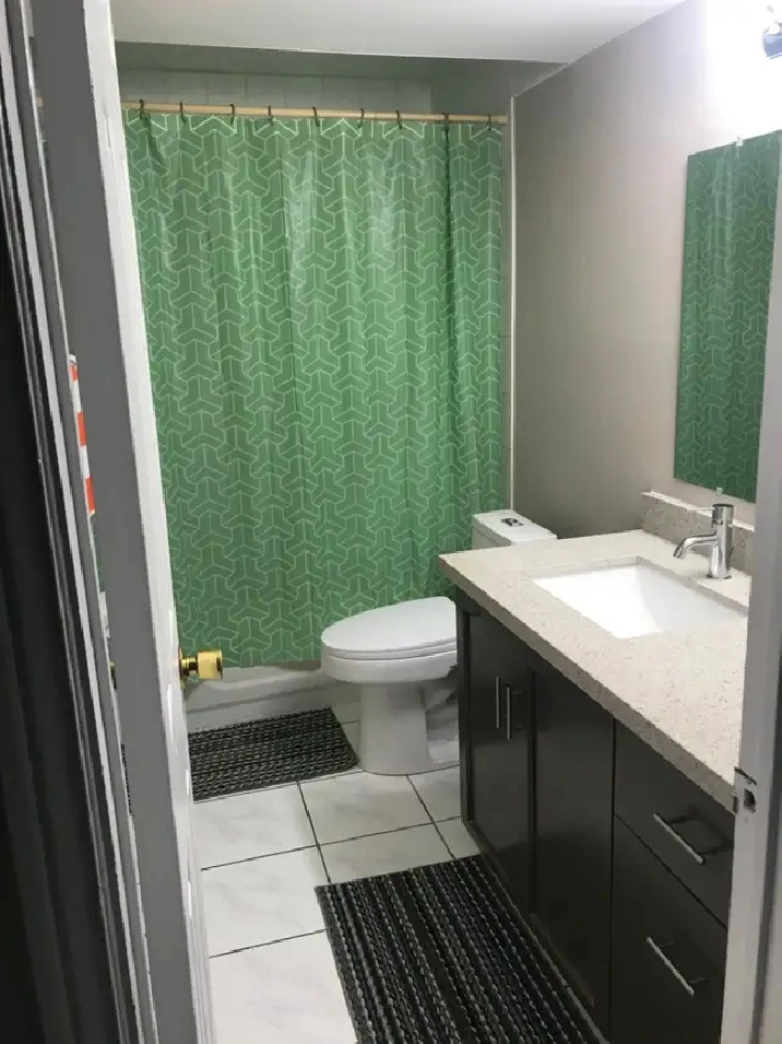 Room for Rent in shared Basement Apt-Mar 1-Finch & Humberwood