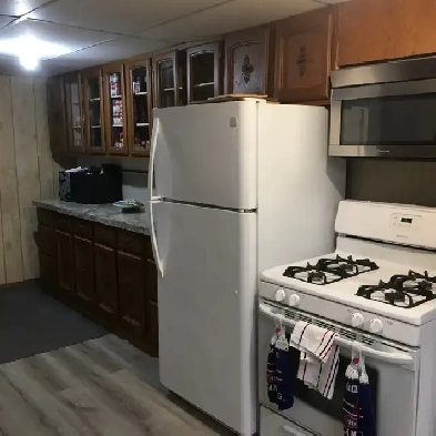 Basement Suite on Farm near Millet,AB Image# 4