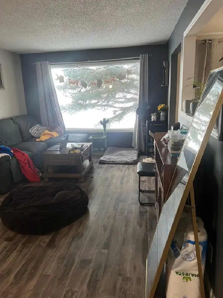 1 Room in Shared House Available for Rent