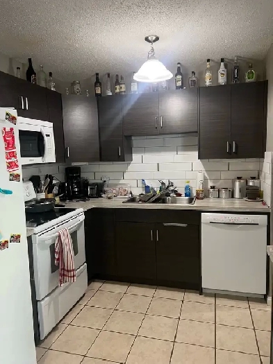 1 Room in Shared House Available for Rent