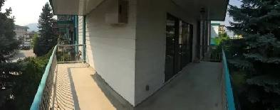 1 BEDROOM APARTMENT - PET FRIENDLY