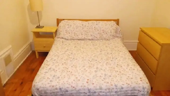 Nicely furnished room downtown available March 1 - female only