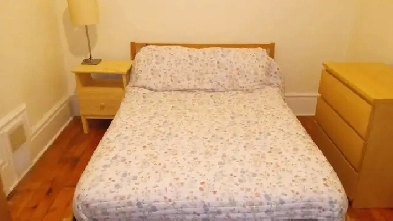 Nicely furnished room downtown available March 1 - female only Image# 8