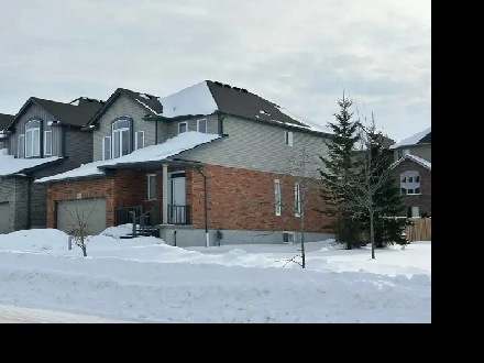 Vista Hills Waterloo Detached Home for Lease Image# 1