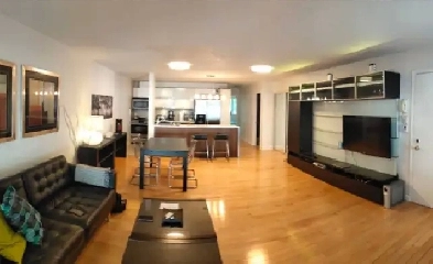 Furnished 2 Bedroom Condo - Downtown Atwater Market Area Image# 1