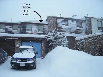 FinchWarden  Clean bright quiet private 2nd floor room