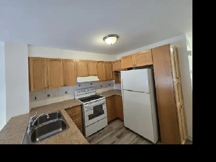 Newly Renovated Executive Terrace home in Centrepointe Ottawa Image# 8