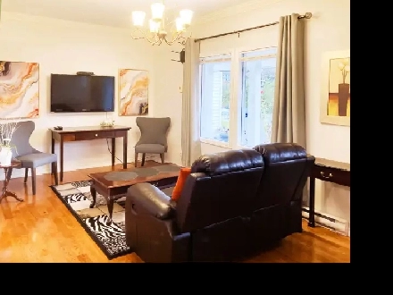 Fully Furnished One Bedroom Apartment Image# 3