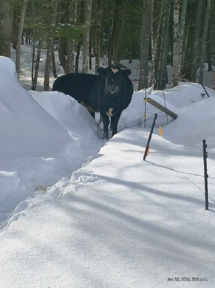 LOOKING FOR A APARTMENT !! PIC FOR ATTENTION