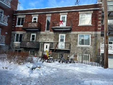 Rosemont petite patrie 4 1/2 une seule chambre 1395$ Image# 1