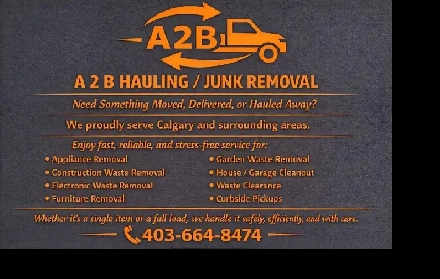 SAME-DAY SERVICE A 2 B HAULING/ JUNK REMOVAL Image# 3