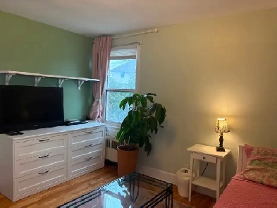 Sunny furnished room with bath for sublet in Old Ottawa South Image# 1