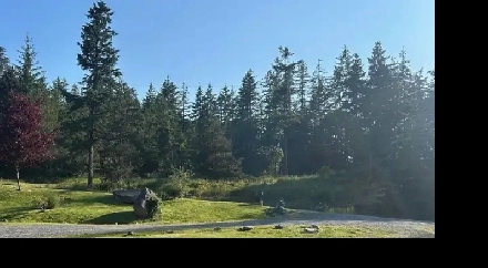 RURAL ACRE BUILD OPPORTUNITY