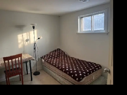 BRIGHT ROOM BASEMENT -50m TO PLAZA STEELES/BATHURST NEAR BUS Image# 1