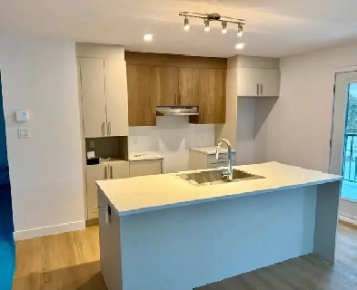 NEUF – NEUF – NEUF  Beau grand 4-1/2 très lumineux Image# 1