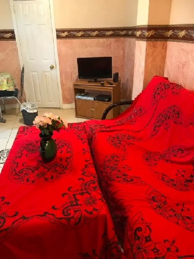 Gorgeous furnished one bedroom basement apartment in Brampton