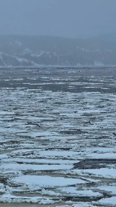 House for sale Massey Drive Image# 1