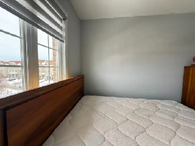 1 bedroom   1 bath for rent in Scarborough, ON Image# 1