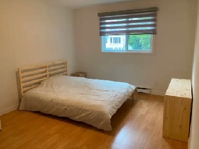 Belle grande chambre disponible a Brossard Image# 1