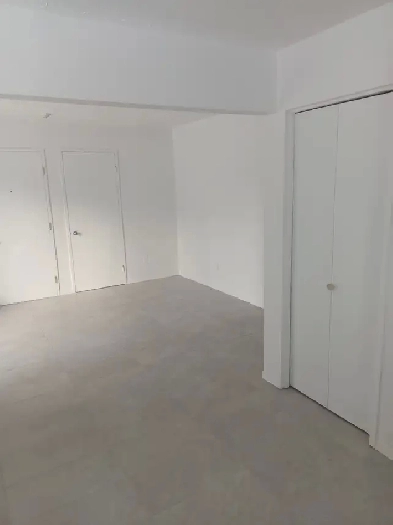 4  1/2  pièces  a louer très propre ,libre,St-Jean