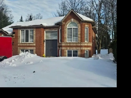 available - House for rent - Wasaga Image# 1