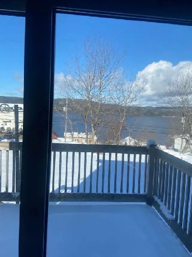 Two bed one bath Dulles for rent Image# 5