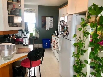 Fab 2 bedroom close to Western & St Joseph's hopsital Image# 1