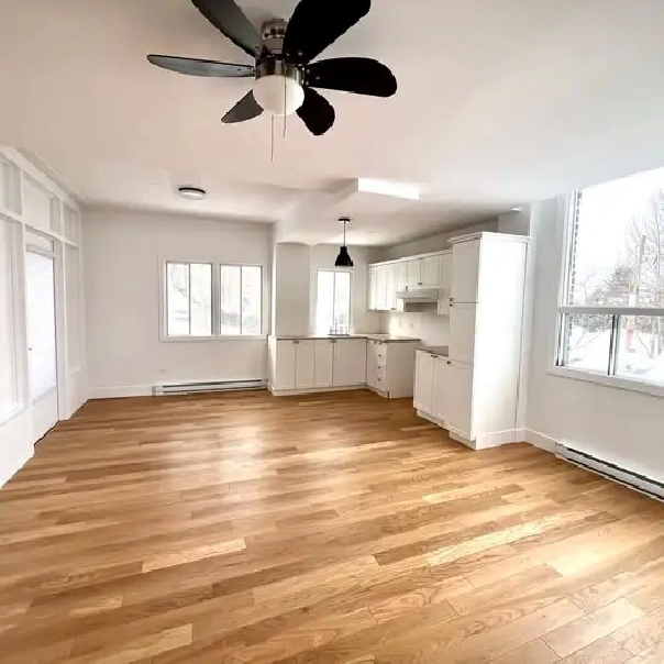 Grand 4 ½ très lumineux – Saint-Jérôme