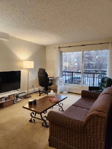 1 bed 1 bath 1350$ Sunalta Image# 1