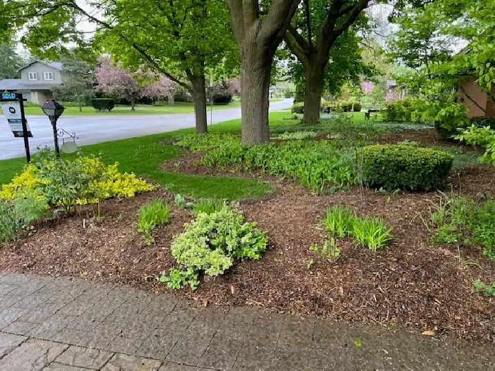 Three Bdrms Student Home, 1 blk to Univ, $800 to $1050