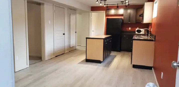 Spacious 1 bedroom basement suite for rent