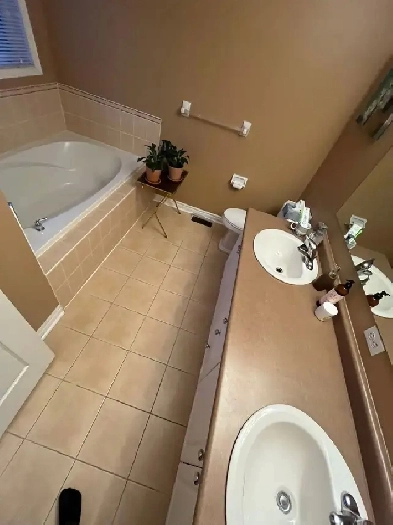 SHAREDROOM AVAILABLE IN MISSISSAUGA HEART OF CITY Image# 1