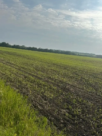 looking for land to rent Image# 1