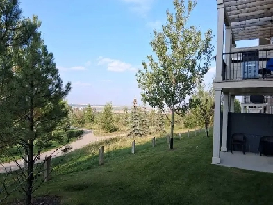 Walk out basement for rent Image# 1