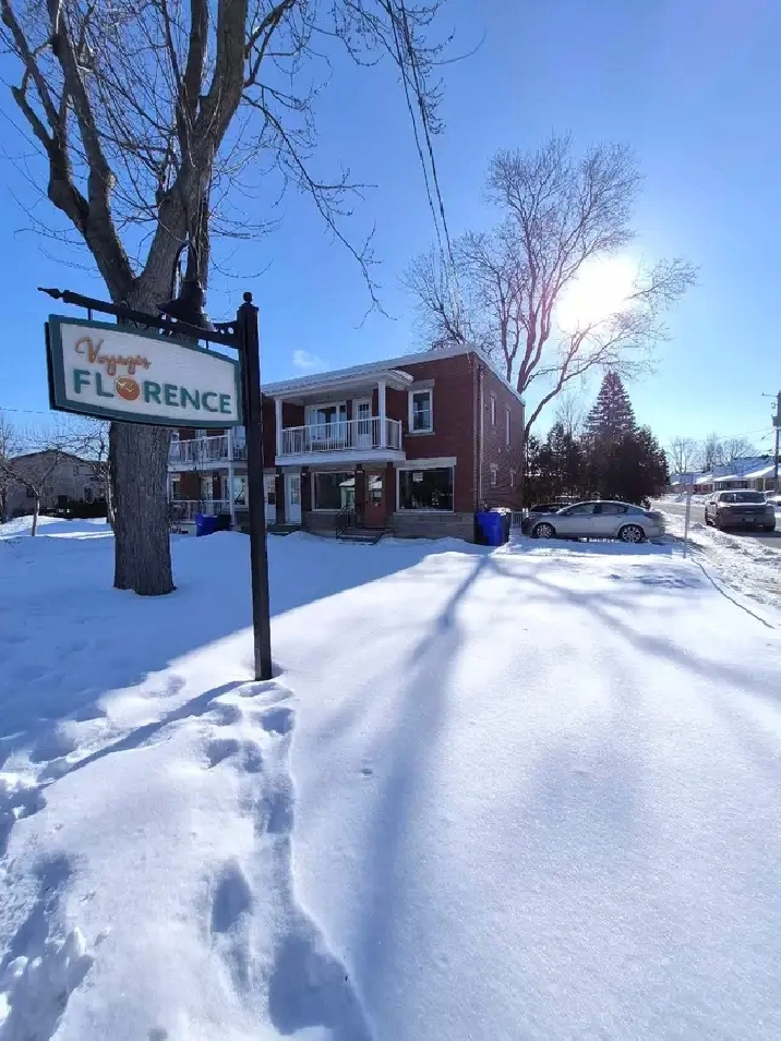 LOCAL COMMERCIAL À LOUER Verchères