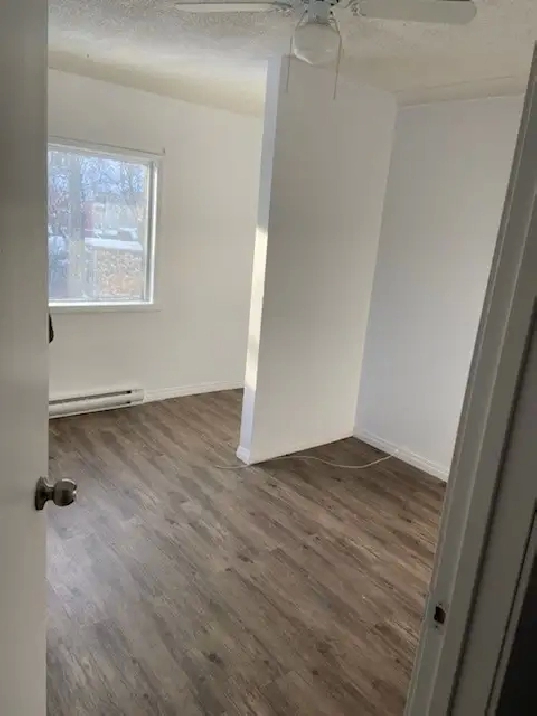 Room for rent near university