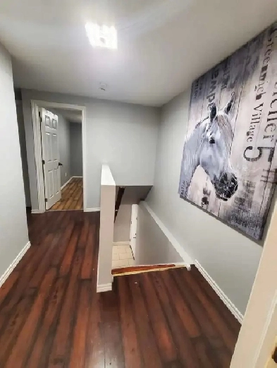 Room for Rent - Cambridge