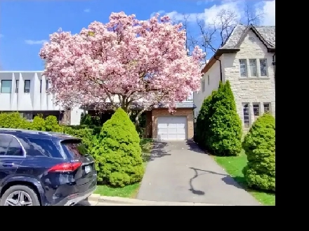 Rare Opportunity !-Lawrence Park-4bd-4bh-2str-house-reno'd-$500k Image# 8