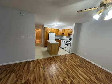 Large Two bedroom Basement Apartment Close to Downtown Moncton Image# 1