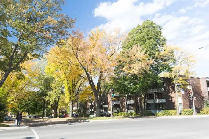 1 1/2 Ste-Foy - Tout inclus - près du cégep Garneau - juillet