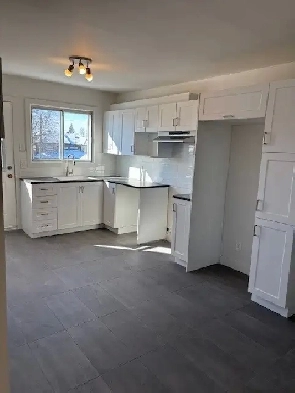 Libre immédiatement 5 1/2 entièrement rénové. Image# 1