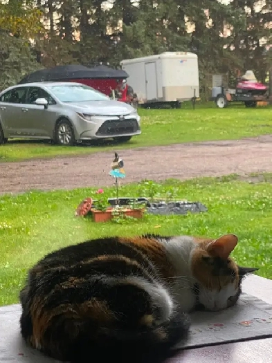 Parking & Storage at my SW private farm in the city