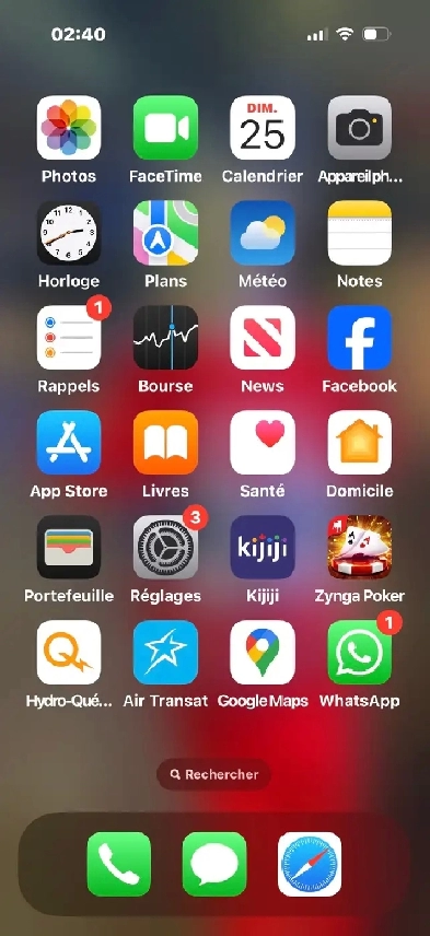 beau 4 1/2 à Lachine Image# 1