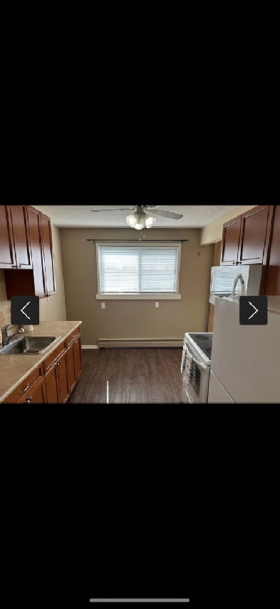 1 bedroom apartment for rent Image# 1